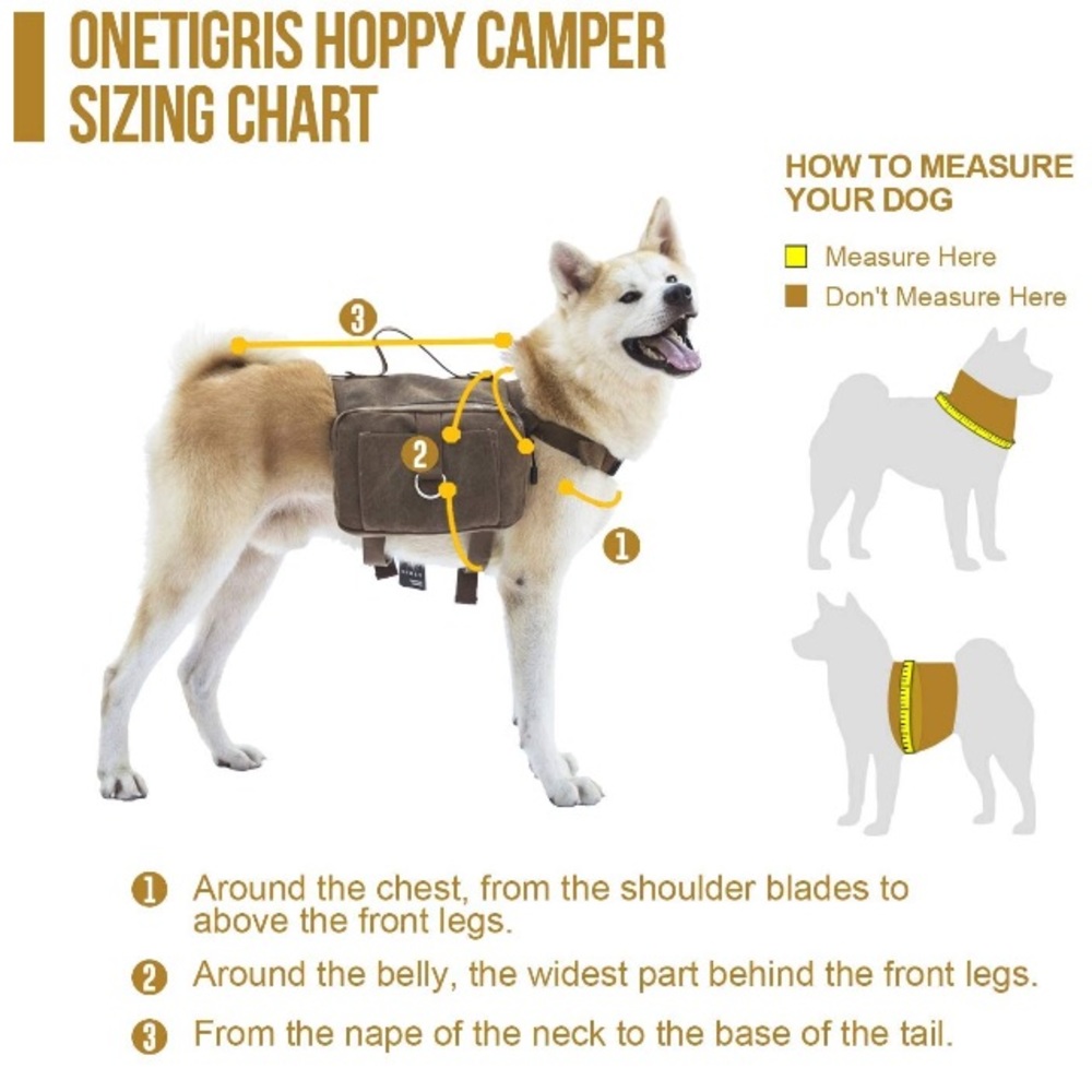 🌼 - Picture 2 of 4